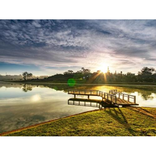 Dấu ấn Xuân 2026: 200 gốc Mai Anh Đào mới “nhuộm hồng” Hồ Xuân Hương